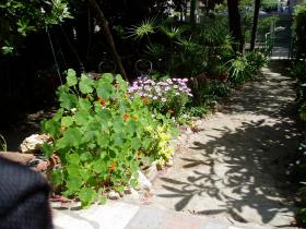 photo coins arrondis